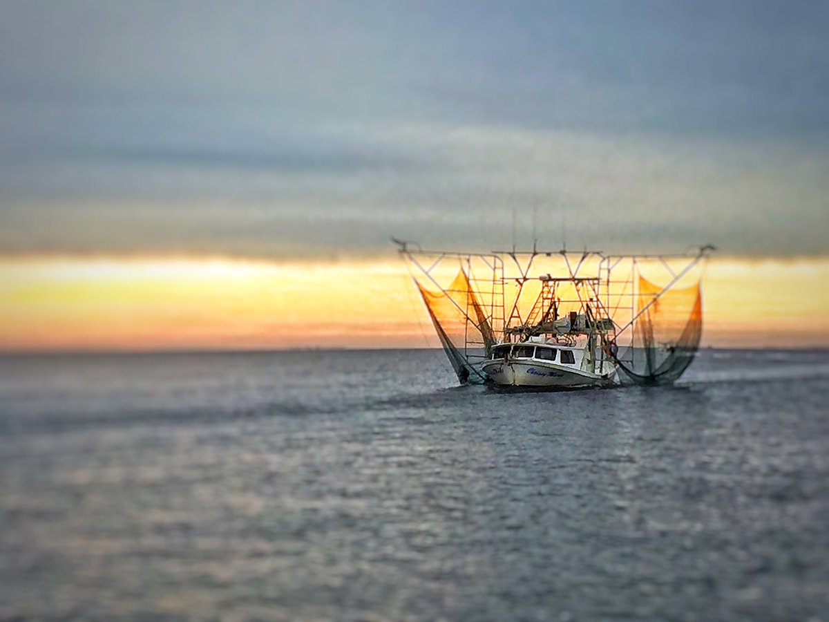 scottottcreativ's tweet photo. Louisiana #shrimpboat - #louisiana fisheries #photoshoot #artdirector #graphicdesignneworleans #scottottcreative https://t.co/RWfUiqwSsS https://t.co/iPDt75zDl7