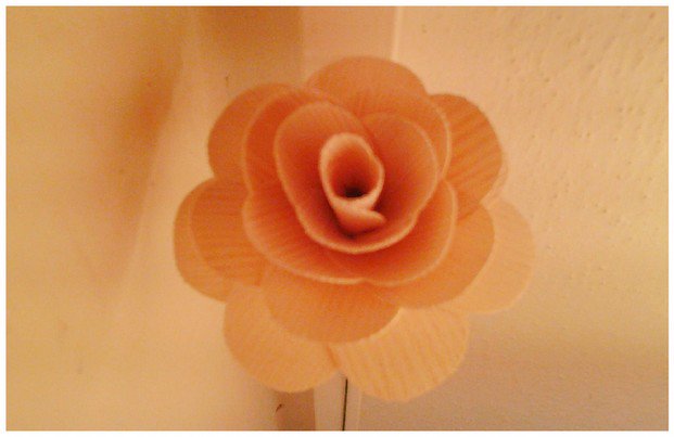 Zuza151's tweet photo. #woodenrose #sobeautiful #Kreativ #Ostrava https://t.co/IbOjXtxiEu