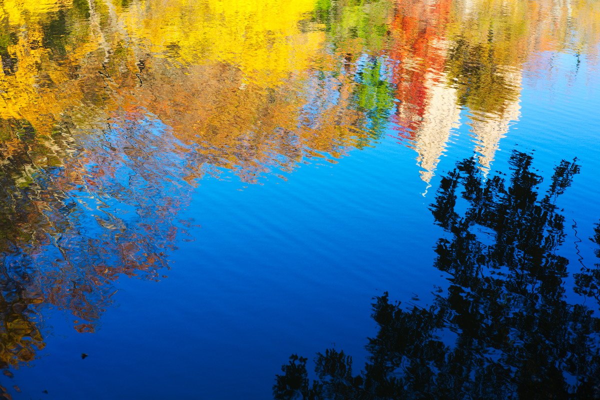 GaruYeuPucca's tweet photo. #colors #newyork #lapetina #Autumn https://t.co/8Zpc2Y8o1Q