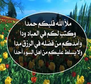 mffreh's tweet photo. https://t.co/czY5wLXv4c