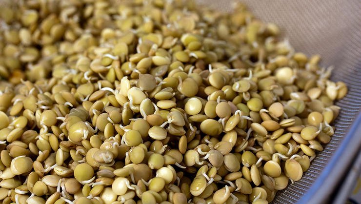 OrganicLifeMag's tweet photo. The best foods for your liver: https://t.co/h1YDC30Ce5 https://t.co/LFnyllqvl3