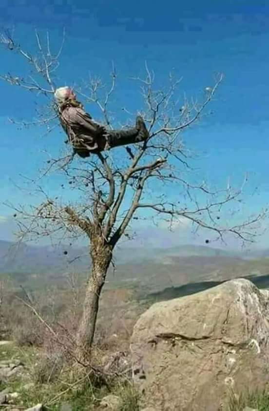 sari fathima azhara tweet media