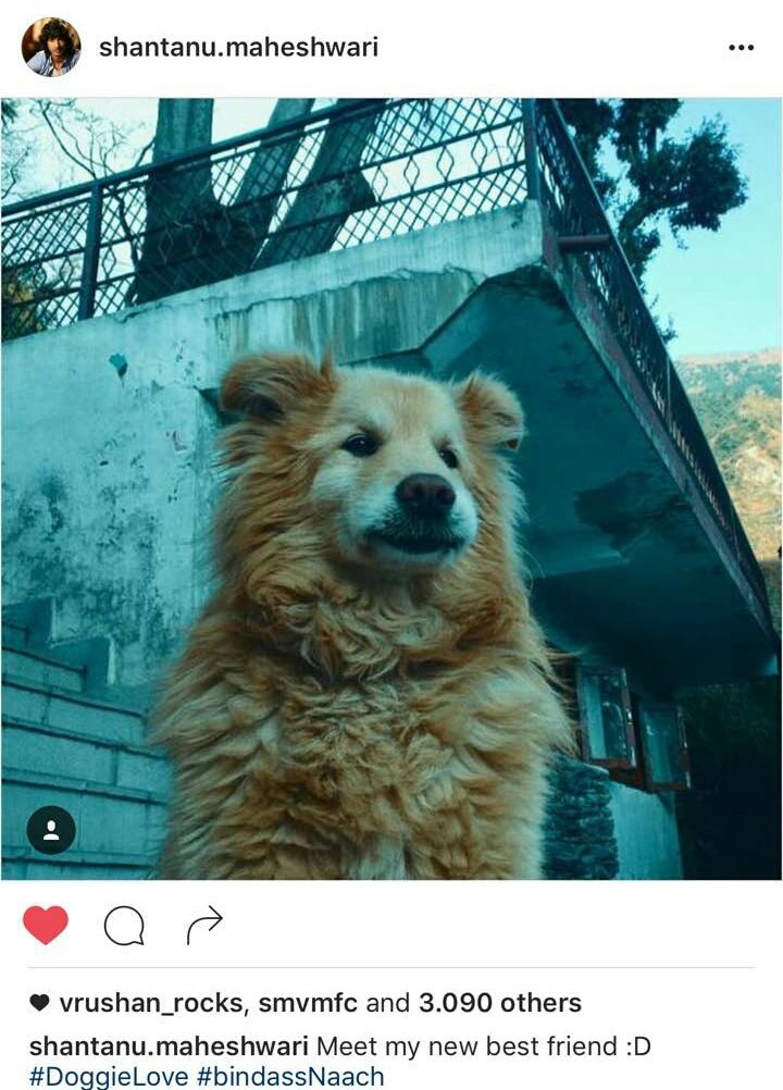 shan_fc's tweet photo. #9thPost Meet @shantanum07 best Friend ...Celebrating the 300k fam on insta!!
#ShantanuHappy300KफॅमिलीOnInsta https://t.co/sEiJavZnvN