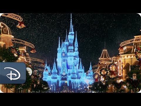 OrlandoTkts's tweet photo. 'Tis the season at Walt Disney World Resort! #finally #festiveflorida https://t.co/wy5ojhlLpJ https://t.co/vkIZZBJGhp