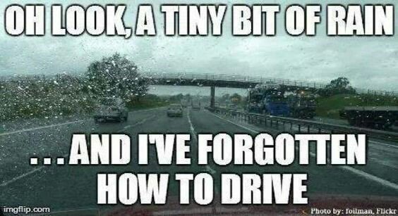 TexasHumor's tweet photo. Pretty much https://t.co/MEm7Z294Mn