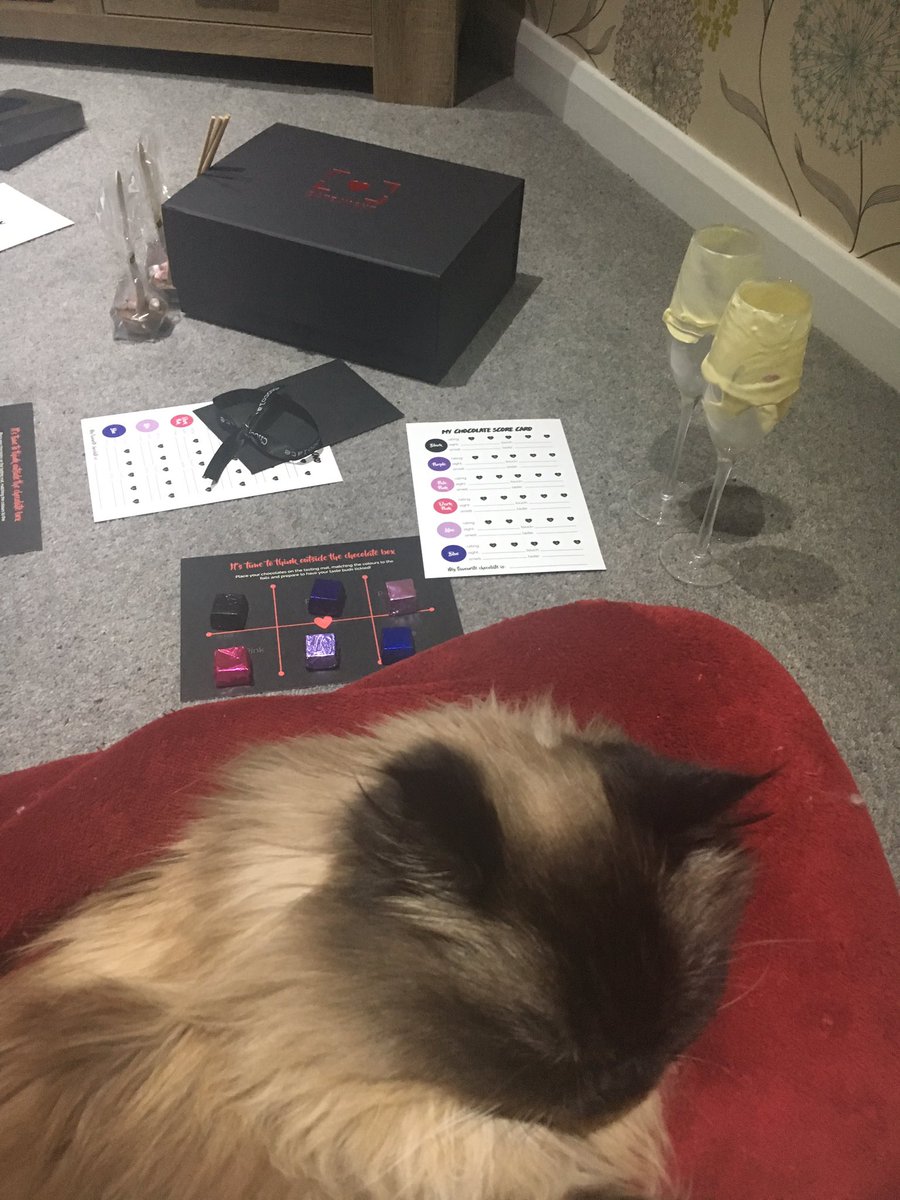 cats1984's tweet photo. Fun chocolate tasting date night with the husband (and cat!) - thanks @getdatenight #licknsip #getdatenight https://t.co/scI0meGtFG