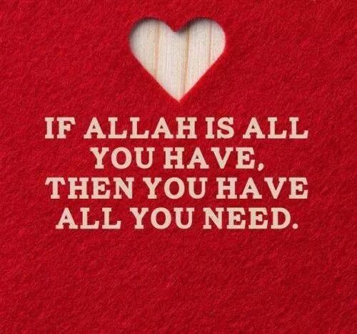aaminah2016's tweet photo. Alhamdulillah!
@AngeloElaine @zuk60 @BRASPA13 @arewashams @Mona_dr23 @IftikharBaber1 @Aminah_Luiza @cristinakarima @happymoments4u https://t.co/vkwVVN2weJ