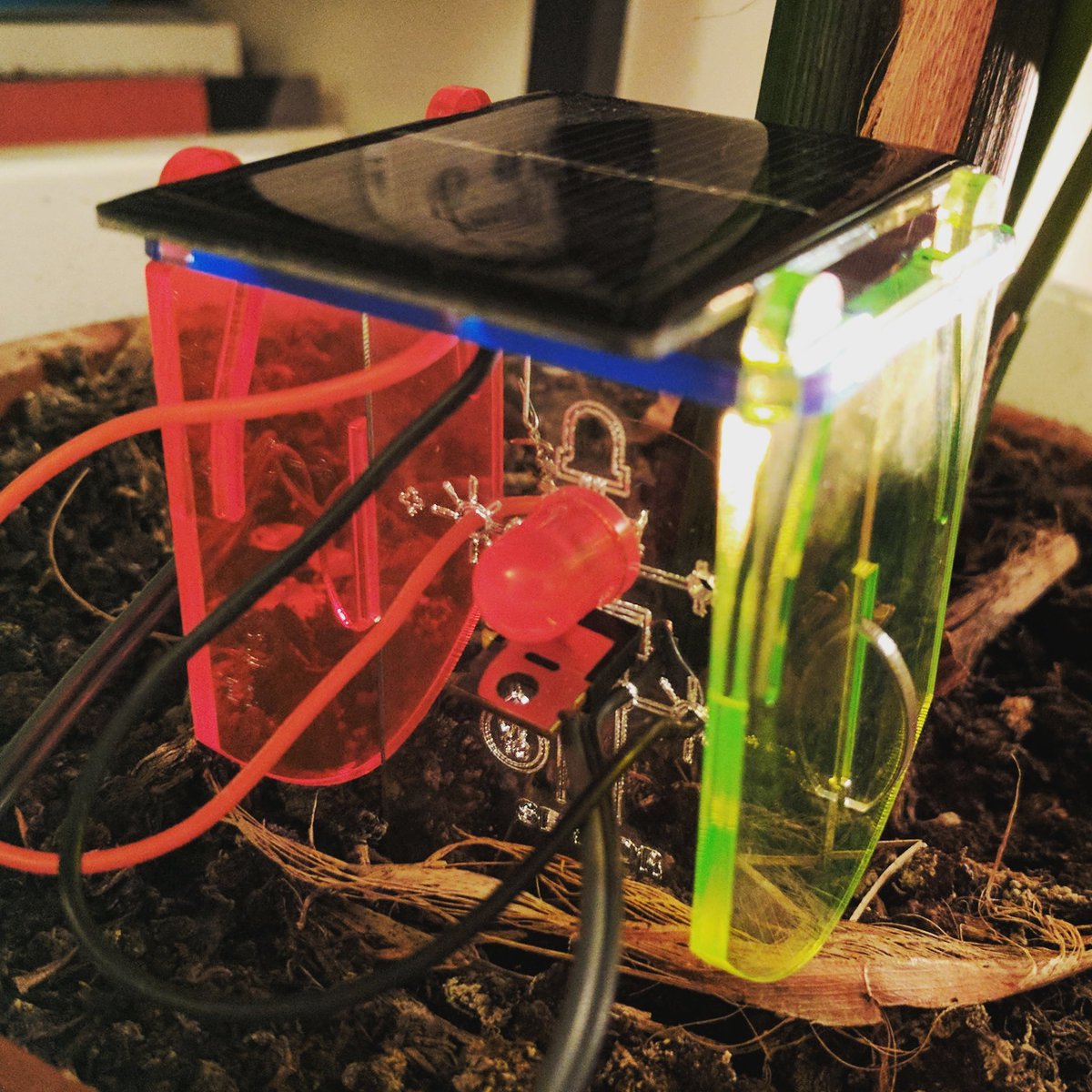 clemencedebaig's tweet image. TADA! #plantsensor #diy #technologywillsaveus #sensor #plant #electronics