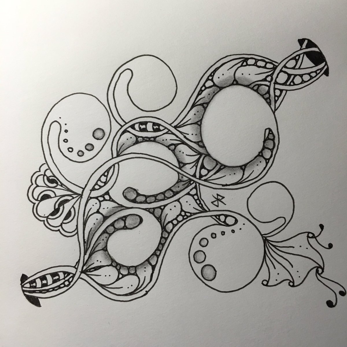 YuChenHsu's tweet photo. Keep going. Keep tangling.
#365之316 #365 #365in2016 #mooka #flux #fescu #sanibelle https://t.co/kKNhtRgbDq