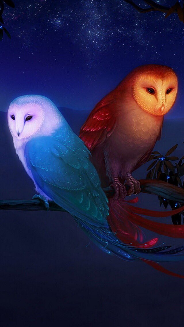 HoverFoot's tweet photo. 🌚🌞 https://t.co/HA0ZfPDg3D