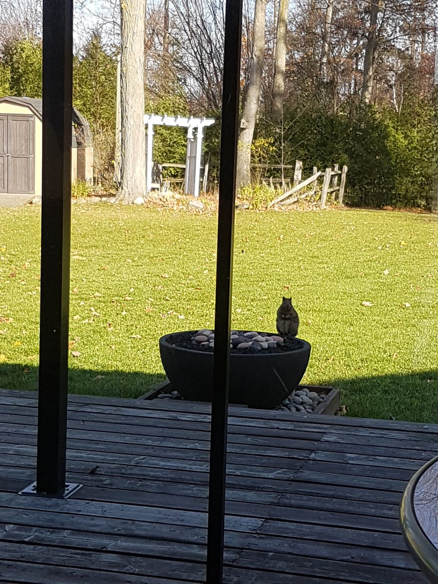 Smswaile's tweet photo. Looking to warm his nuts up I guess https://t.co/JH4sF1bH3N