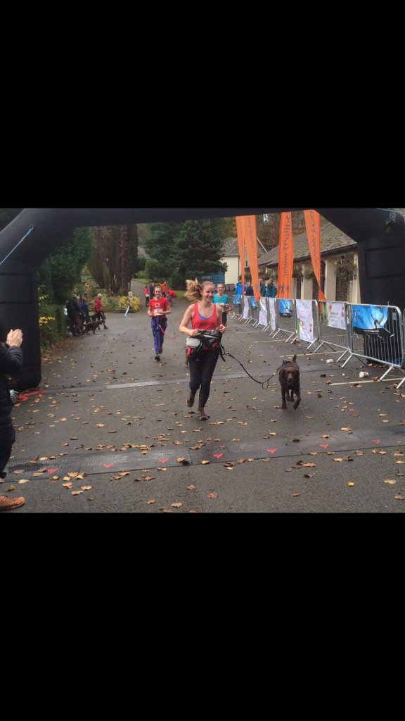 yorkshire_rach's tweet photo. #10k #Betsw-y-Coed #Canicross race done with Milo. Fab running with friends. Now for wine 🍷 https://t.co/dbEXhAwfuI