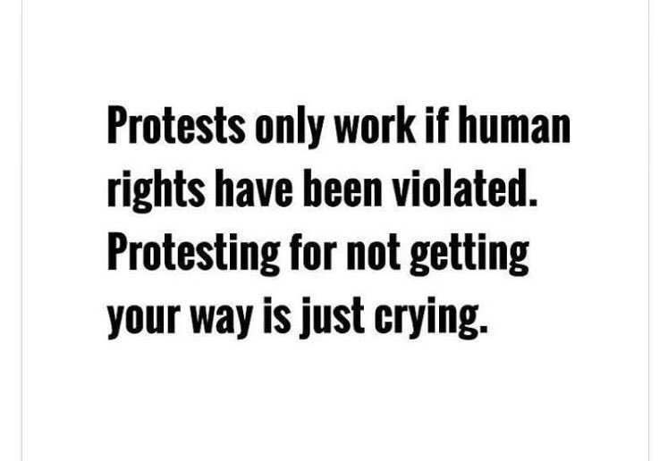 marci_suggs's tweet photo. #inanutshell #nothingtoseehere #movealong #LoveTrumpsHate #accomplishnothing https://t.co/Cb76iUeVu8