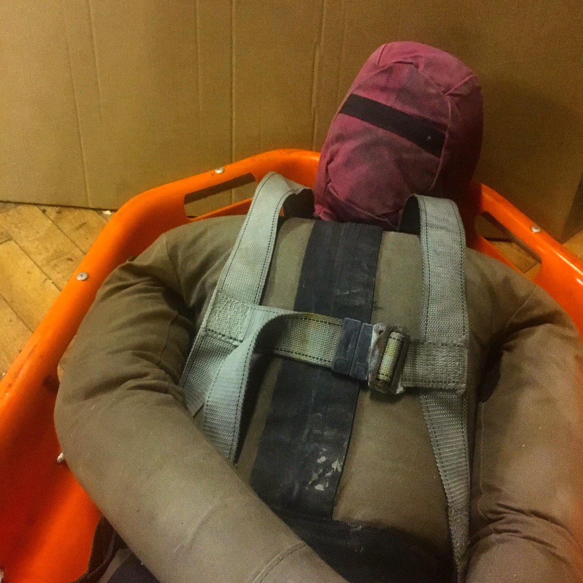 AdventureAdrift's tweet photo. Successfully recruited a new member of the team today #rescue #medic https://t.co/PFYcSBauKo