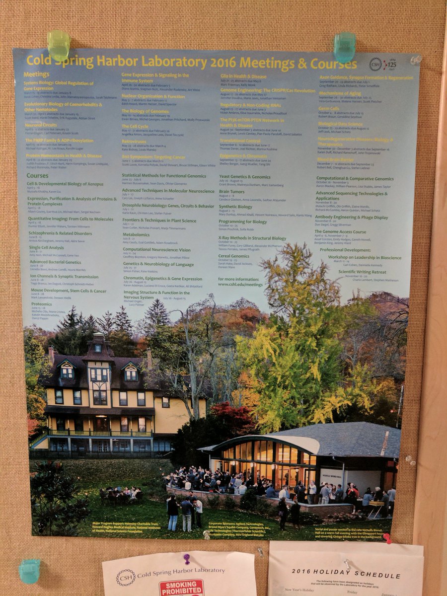Elena Rozhkova On Twitter The Meeting Poster Is In Dematties