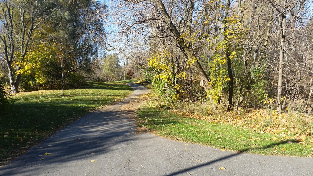 a_defrancia's tweet image. Enjoyed a lovely ride w/ @ScarbCycles @vleongTO on a bit of the #panampath &amp;amp; had good discussions @thebirchcliff after. #ScarbTO #bikeTO