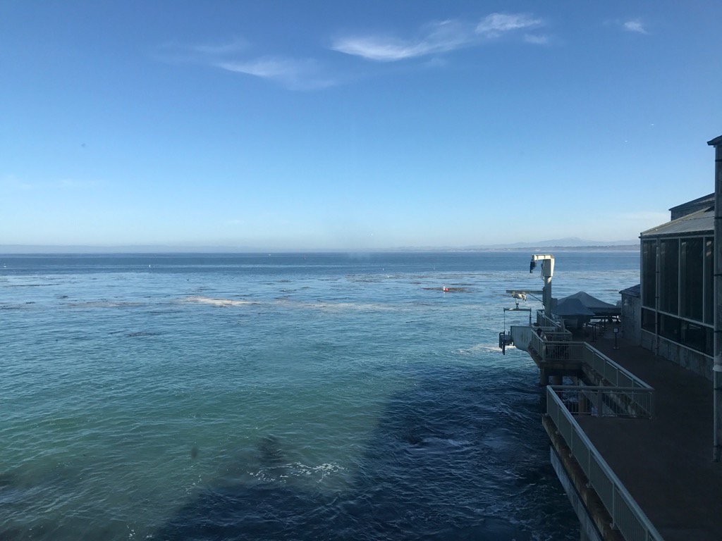 Michelle Bennett tweet media