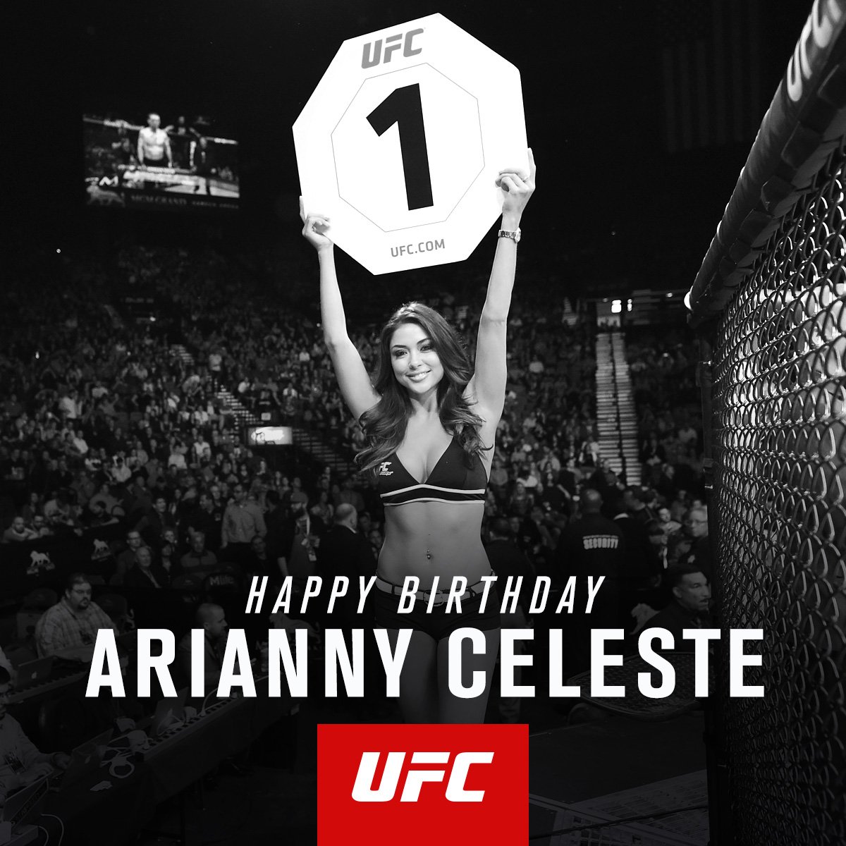 AriannyCeleste's tweet photo. 😘😘😘😘thank u!!  RT @ufc: RT to wish @AriannyCeleste a Happy Birthday!! #UFC205 #UFCNYC https://t.co/BWbYhx7xmF