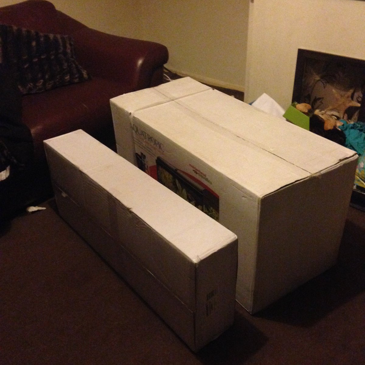 Assembling Tank number 3 while listening to <a href="/LittleBroEli/">Little Brother Eli</a>. Thanks to <a href="/the_fishkeeper/">Maidenhead Aquatics</a> Wheatley for the great advice :)