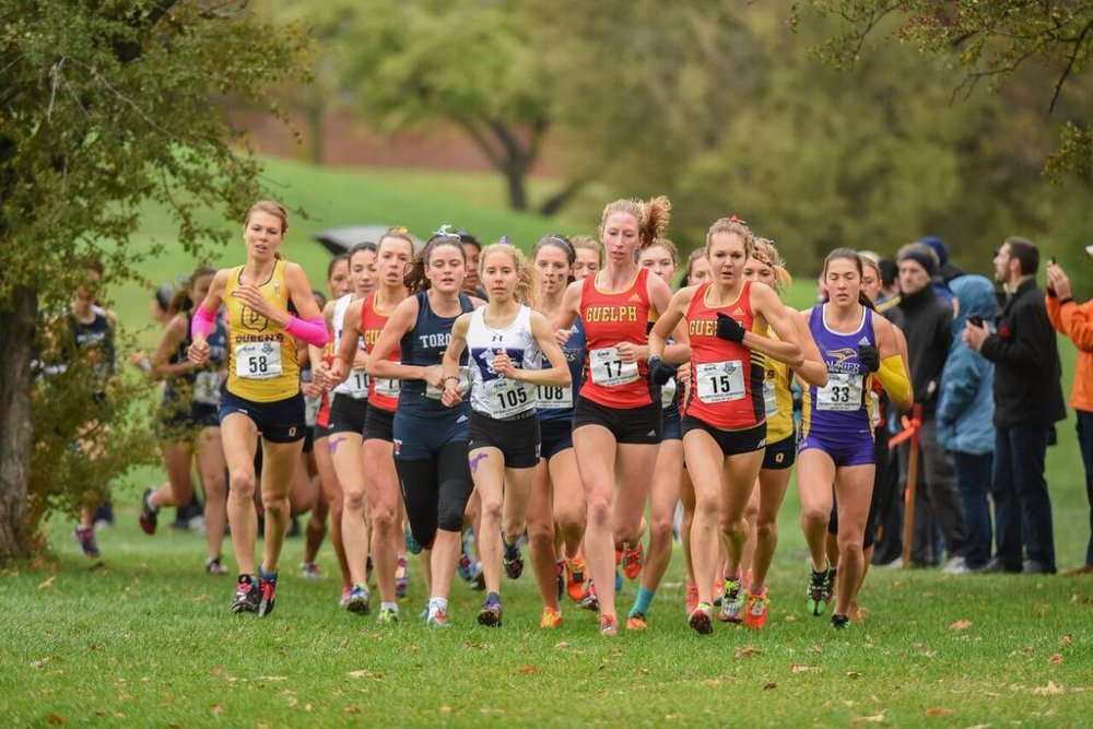 CanadianRunning's tweet photo. .@queensgaels' Claire Sumner overtakes teammate in late stages, wins #CISXC #USportsXC16 title. RECAP: https://t.co/CP9tE9LTCM https://t.co/ucJXdDRXn7