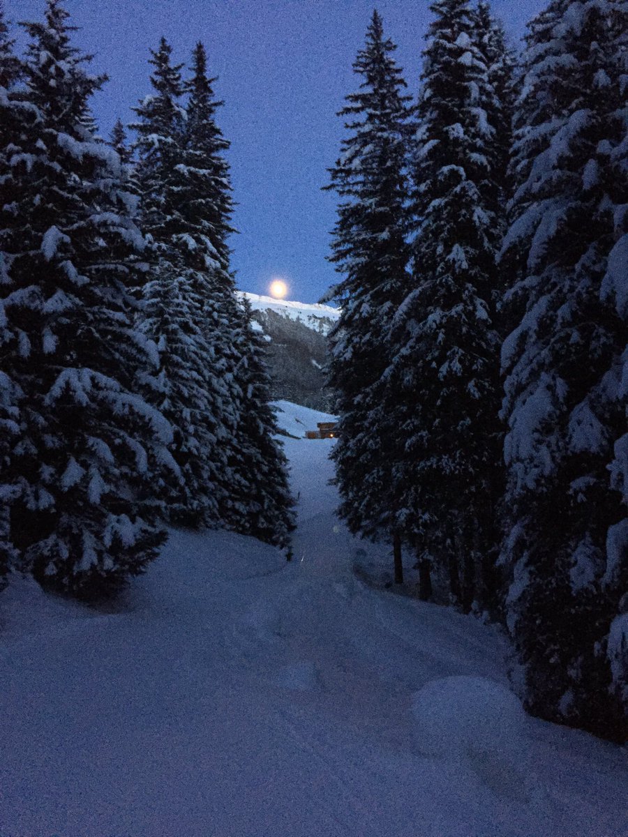HWiddy's tweet photo. Moonshadows and werewolves #awooo #wldspirits @wldspirits #Davos #WinterIsHere @BuffCanada https://t.co/F8vQX0Ks4P