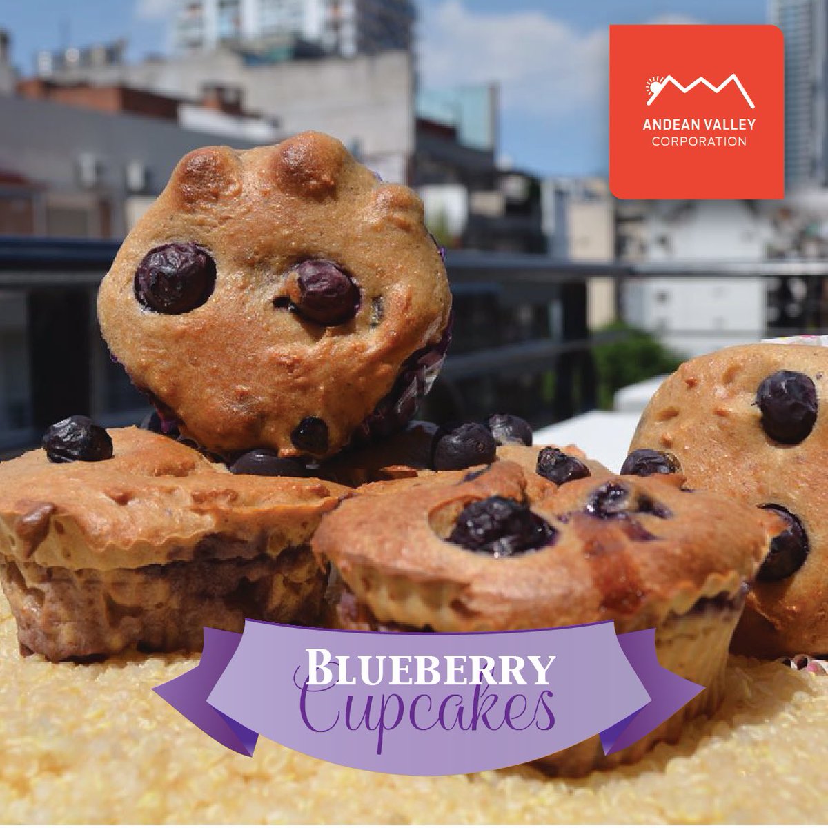 AndeanValleySA's tweet photo. Quinua cupcakes with precooked quinoa flour from #AndeanValley #organic #glutenfree #celiac #HealthyFood #superfood https://t.co/pv2kITyJVY