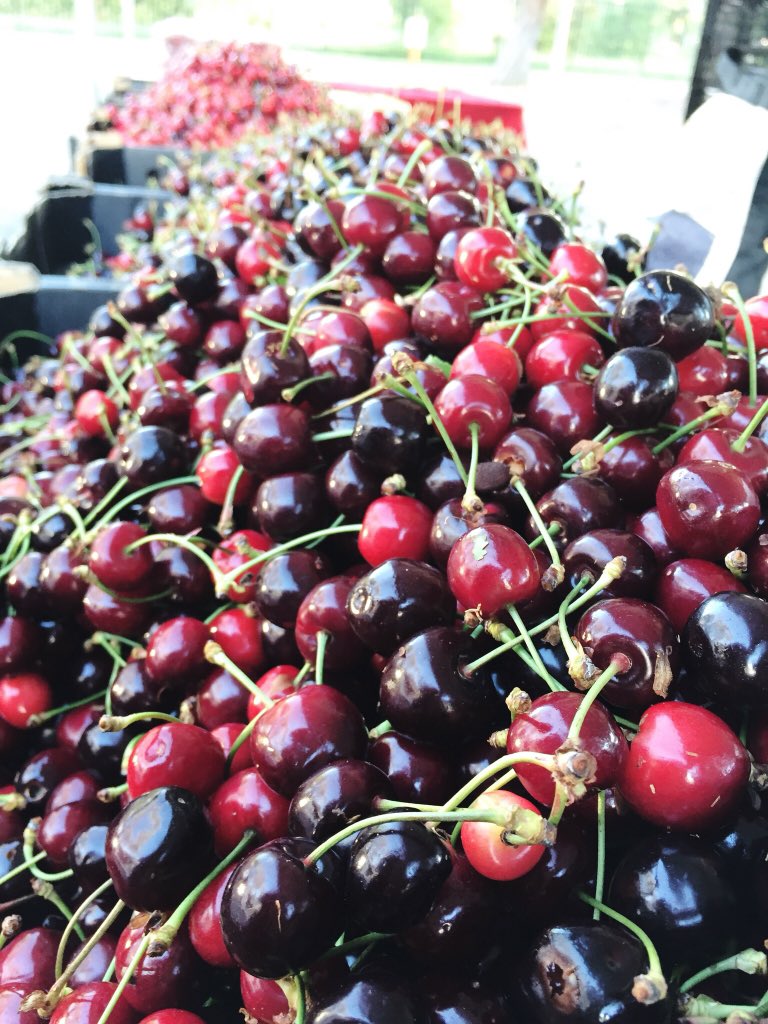 Have we mentioned it's cherry season? Grab the first of the year today at Canberra College until 11.30.