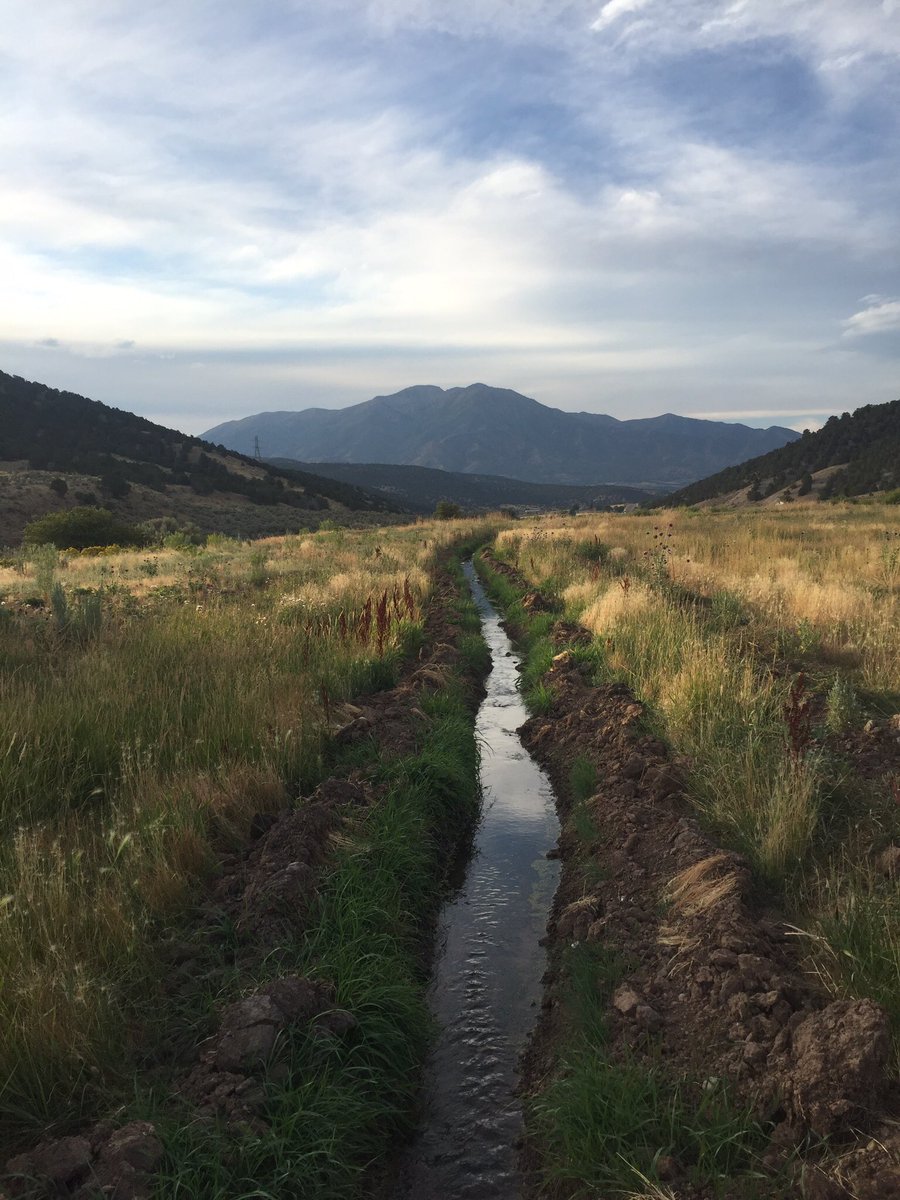 thecowshare's tweet photo. The co-op's Winter Order grass-fed  beef was thoughtfully raised on the Peaceful Creek Ranch in Birdseye, UT. https://t.co/2lJyncjCSb