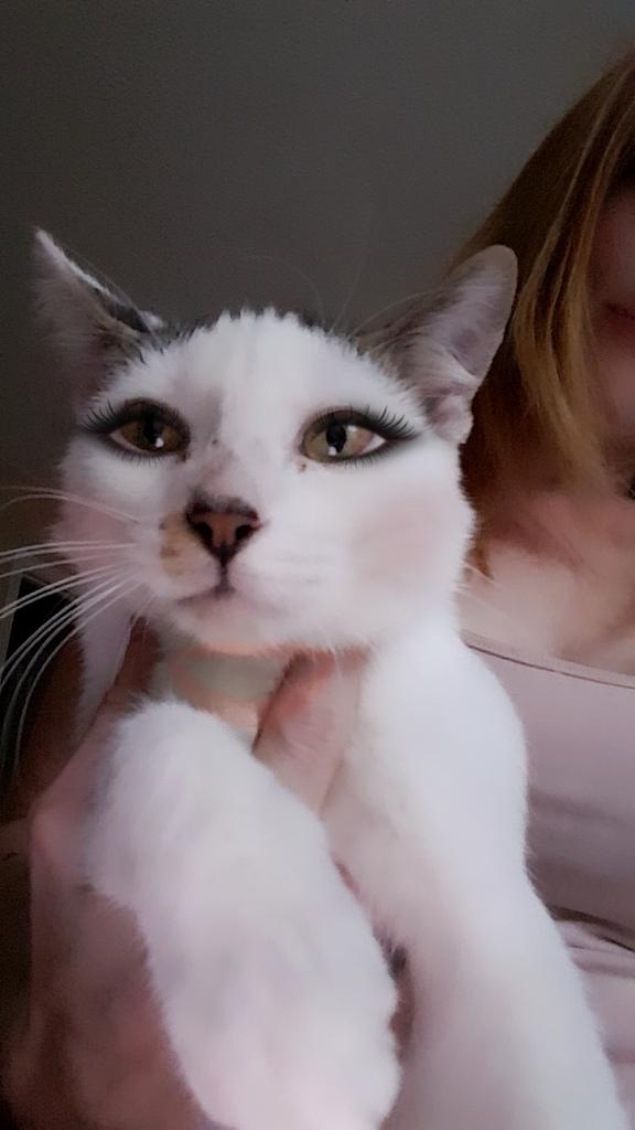 luvcharityfaith's tweet photo. #kittyglam #saturdaymorning  #Hobby https://t.co/tTCfBgARwn