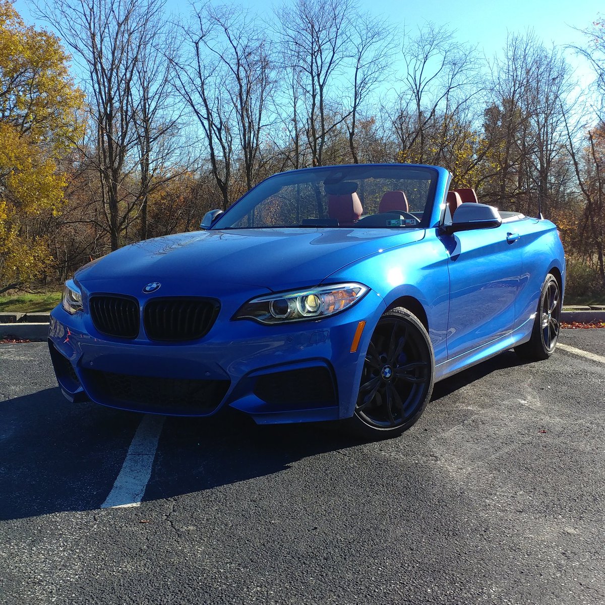 Gold Pony tweet media