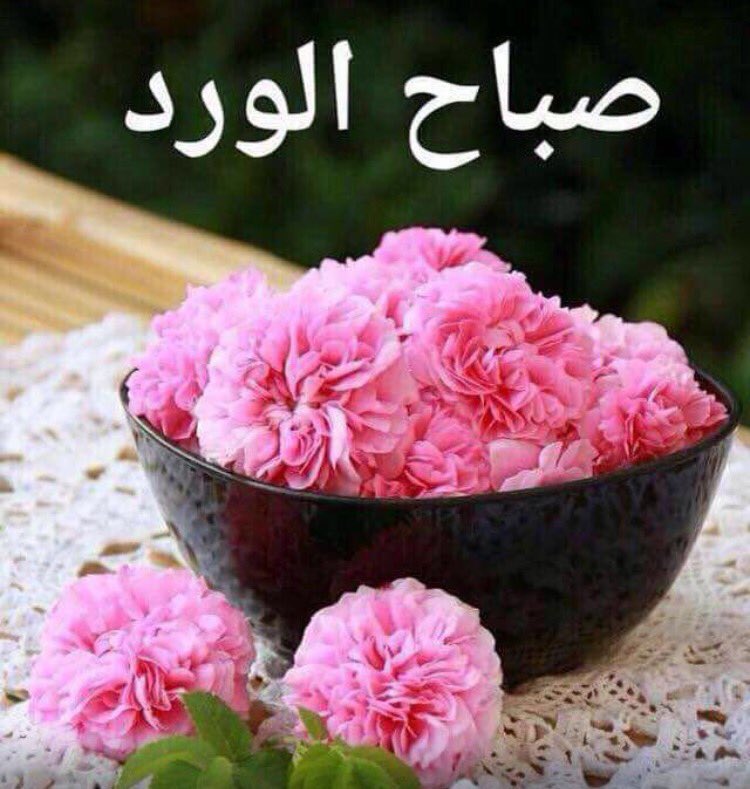 صمت Twitterren هلا وغلا حبيبي طلتك أجمل من القمر وارق من الندى واطيب من رائحة الفل ربي يسعدك ولايحرمني طلتك يامساء الورد الجوري Https T Co V9qzaj1ad8