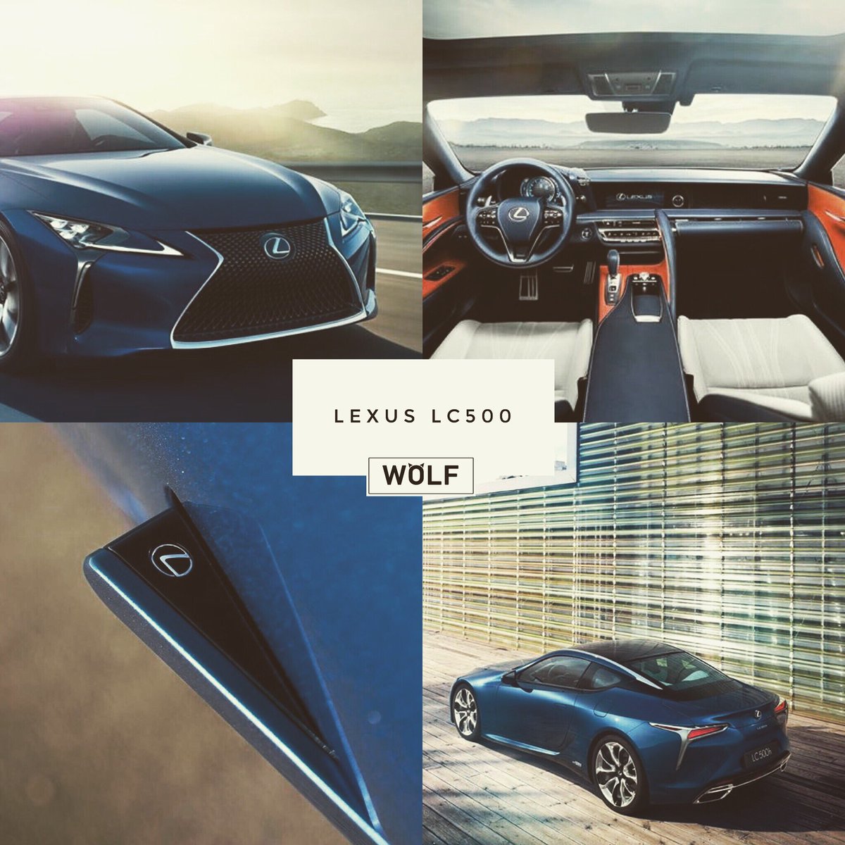 wolfautouk's tweet image. 