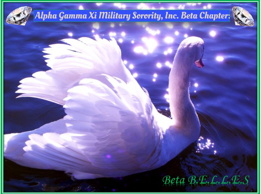 BetaBELLES's tweet image. 