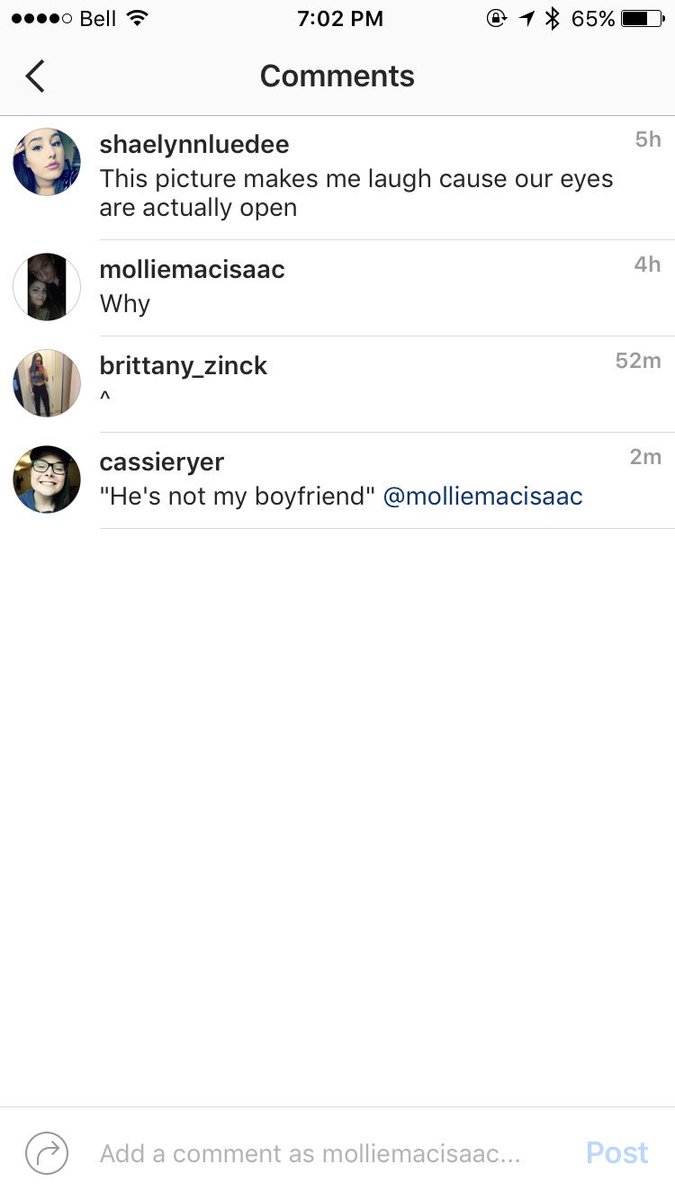 moll tweet media