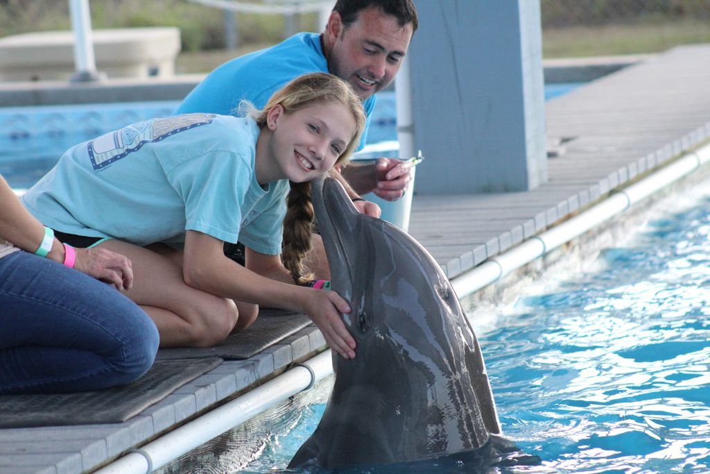 PlayCoastalMS's tweet photo. Bring the whole family and interact with #dolphins at IMMS in @CityofGulfport! #MSCoastLife Photo: @YourOutdoorFam https://t.co/6kPmMq40dd