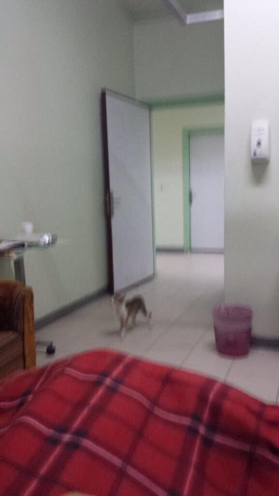 <a href="/tfrabiah/">توفيق الربيعة</a>
يامعالي الوزير نحن في ذمتك الى يوم القيامة
ارجوك انظر الى وضعنا في مستشفى النقاهة
والى اهاناتنا وذلنا فيه،💔
القطط تاكل عشاي وانا😳😭