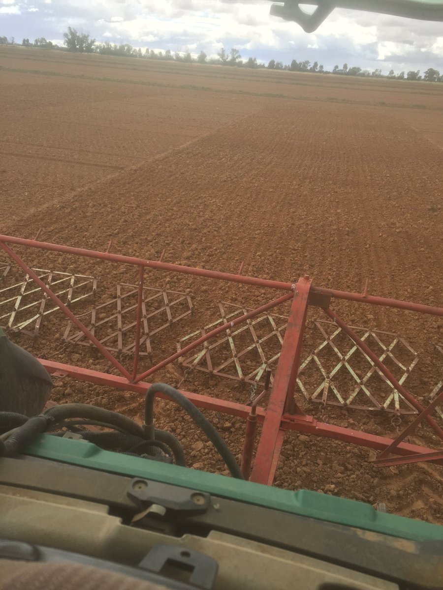 Waynos67's tweet photo. Somthing different today , its harrowing 😁 https://t.co/eUjQxrOiTe