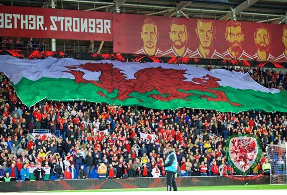 Fantastic support from the Welsh fans tonight... unlucky to concede.. Roll on Ireland #TogetherStronger