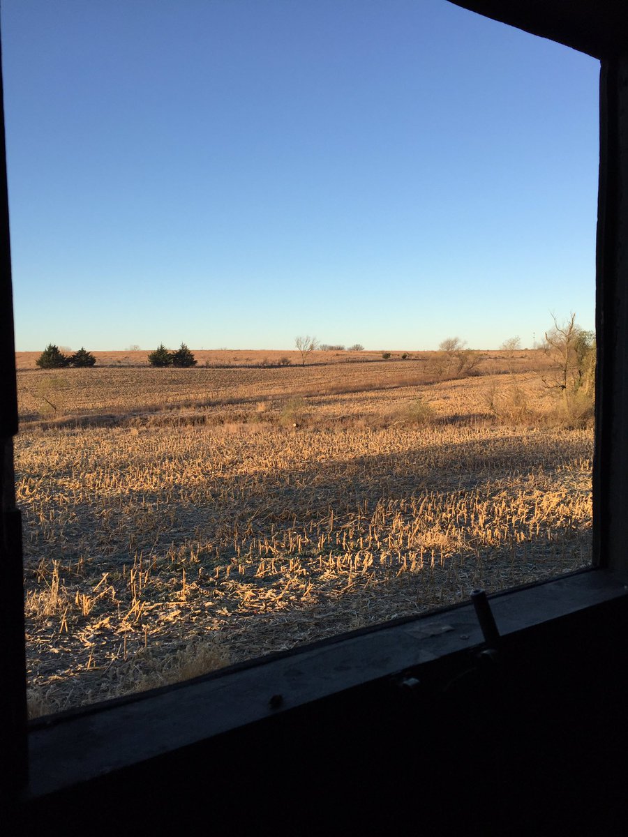 TimFralin's tweet photo. @imca_tv getting ready to watch the duel from my deer blind! #duel16 https://t.co/JkTyvI9dwQ