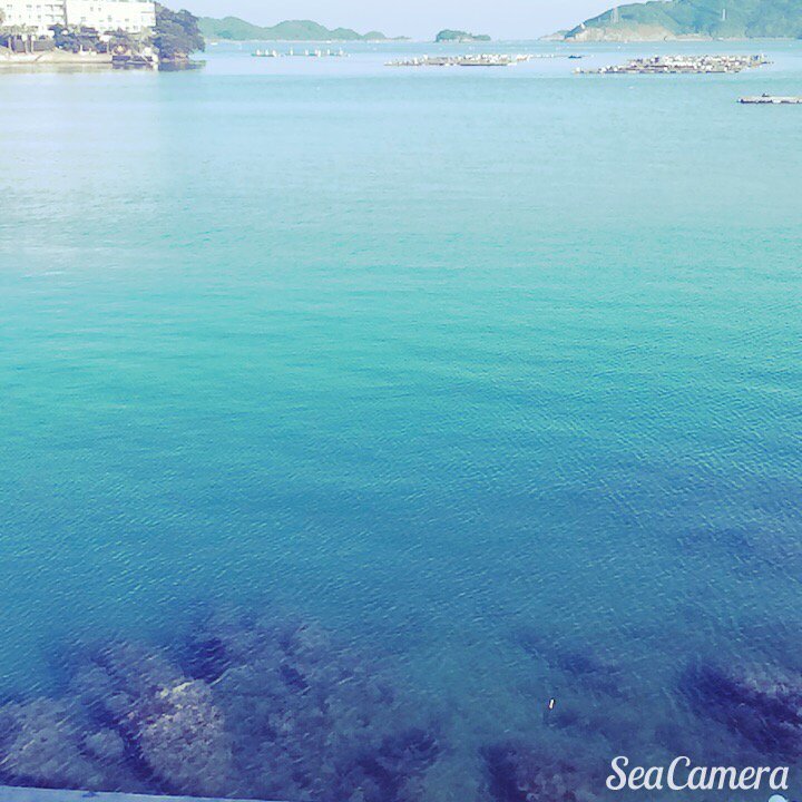 nana_199709's tweet photo. #SeaCamera https://t.co/hsF4yjmMmk https://t.co/GlRa9ld5Gy