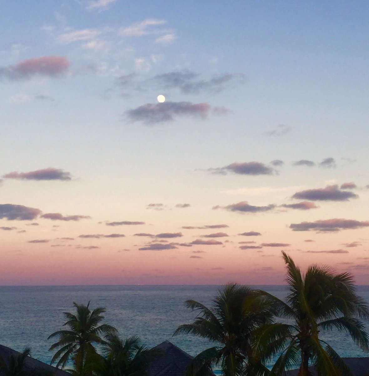 MsSAFFI_K's tweet photo. Bahamas mi reach 🇧🇸 https://t.co/uUdSiLa9Zn