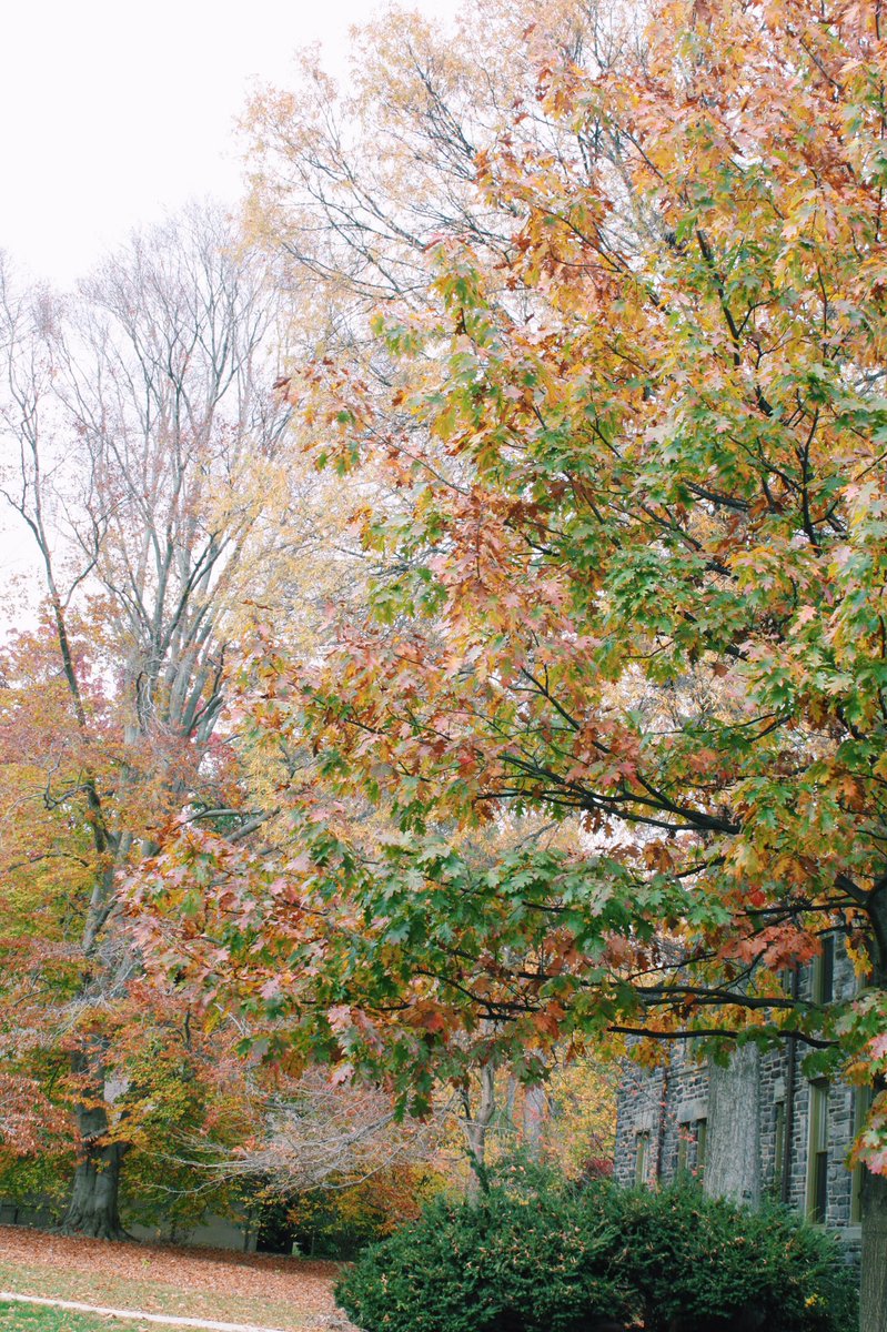 kaileeheller's tweet image. I'm falling for fall #fallpuns