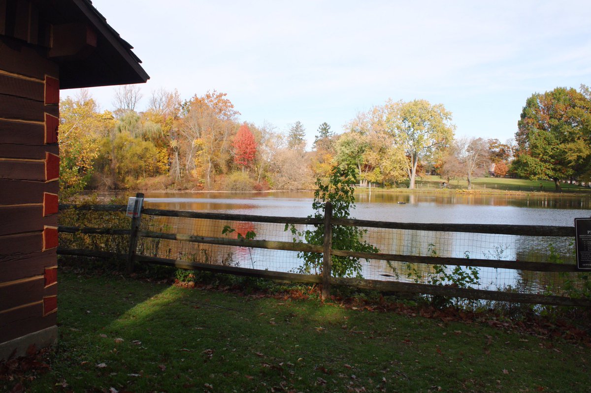 kaileeheller's tweet image. I'm falling for fall #fallpuns