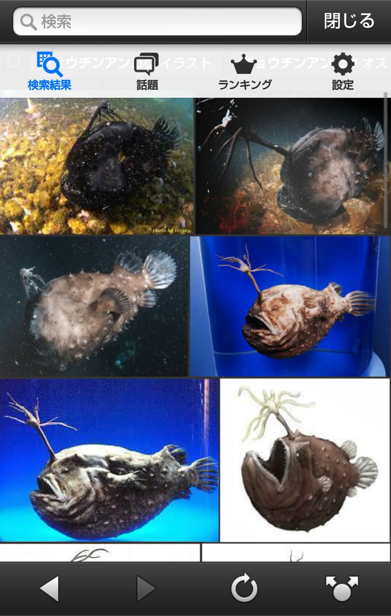 あんこうページ ①ガルパンおじさんが真っ先に頭に浮かぶアンコウ。この場合「あんこう