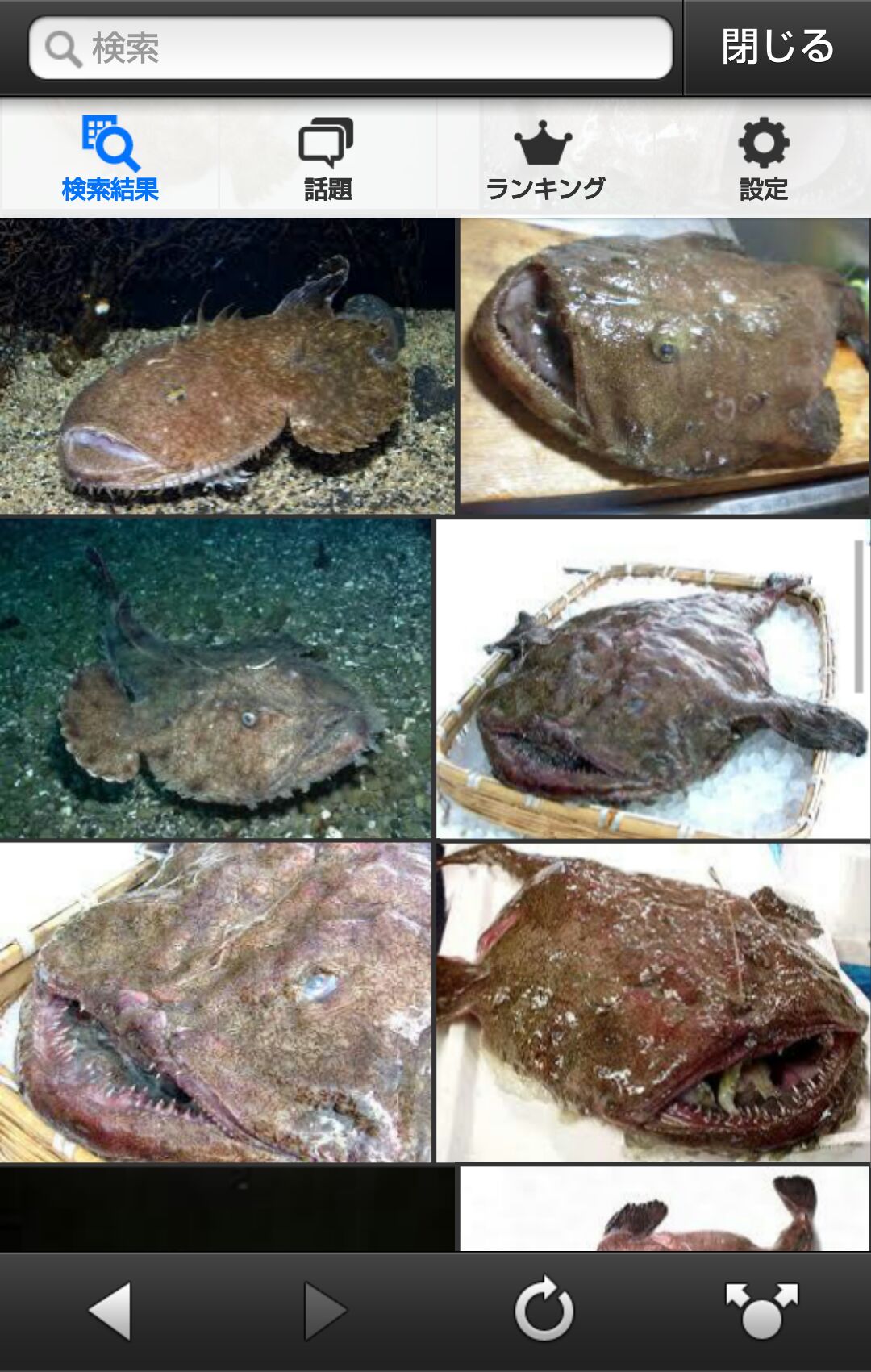 あんこうページ① 20231208126.jpg