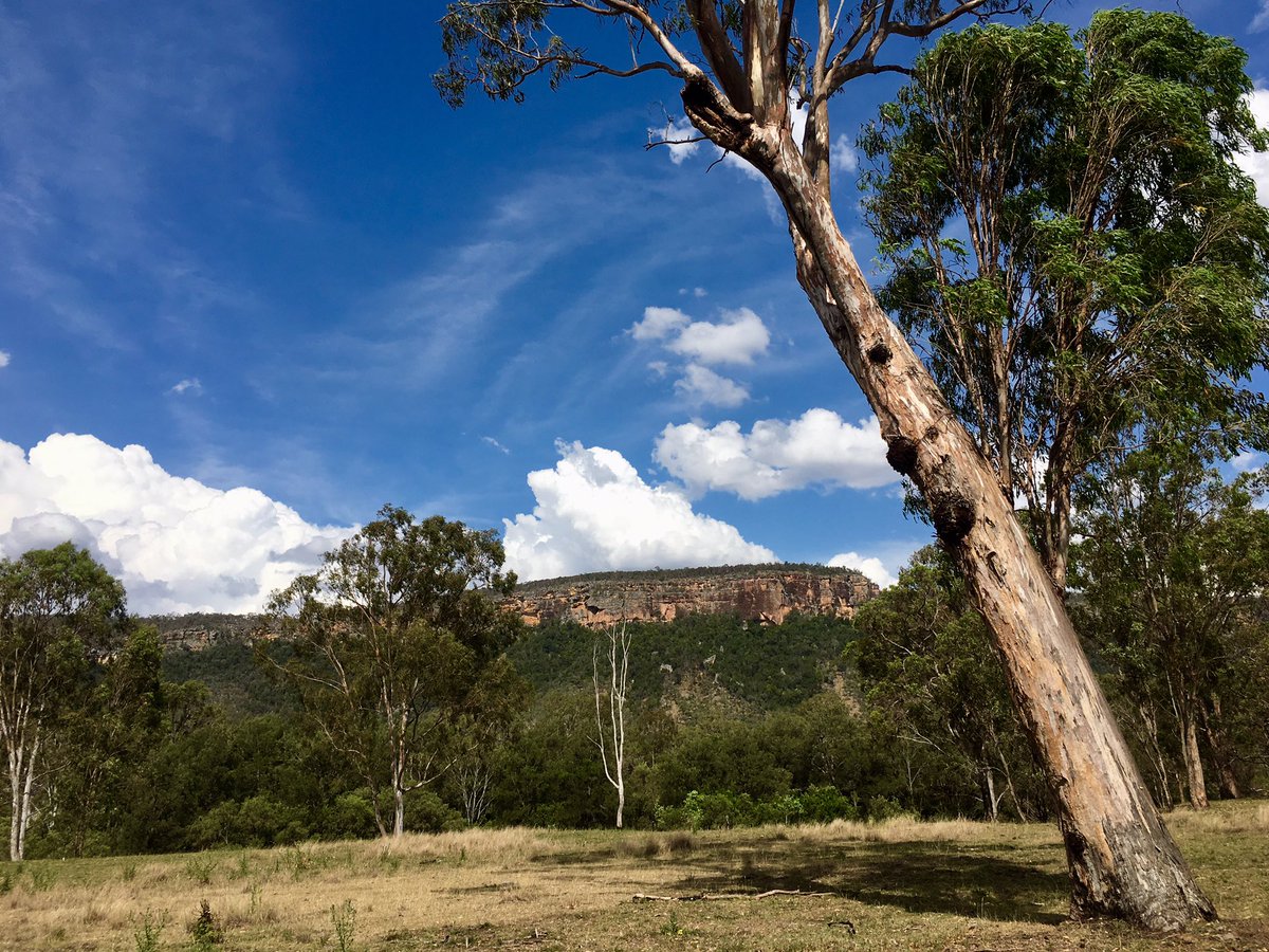 BushBabeofOz's tweet photo. Gorgeous Cania.. a view from the road into the dam and this weekend's fishing comp! #Australia #countryroads #BushViews https://t.co/4JcXwULmXD