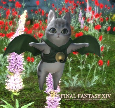 Krieby's tweet photo. Happy Caturday! #Caturday #FFXIV https://t.co/N3XuTzfDHL