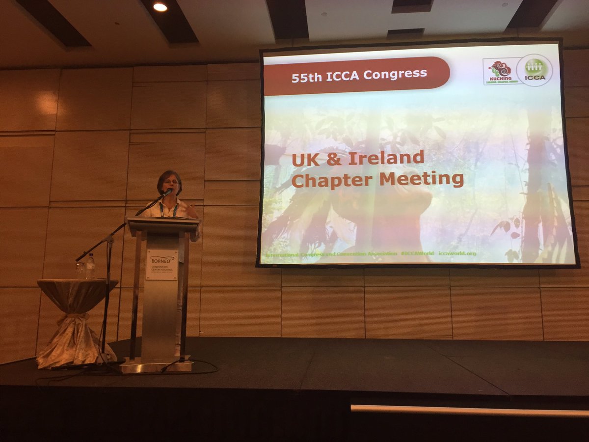 NetworkingJean's tweet image. #ICCAworld UK &amp;amp; I chapter kick off with our @lesleyj_ecb