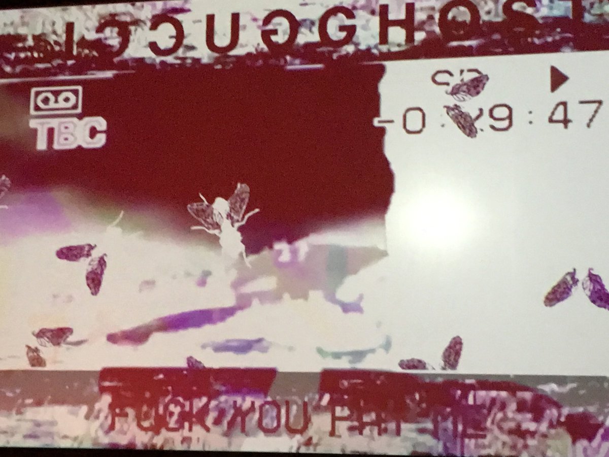 Amanda Kuryla tweet media