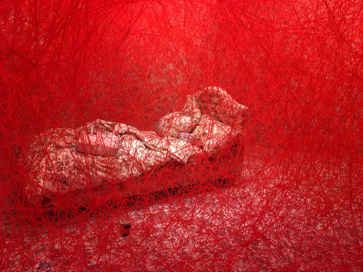 Amanda Kuryla tweet media